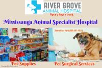River Grove Animal Hospital image 4